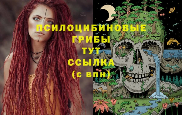 тгк Кулебаки