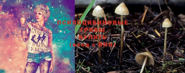 тгк Кулебаки