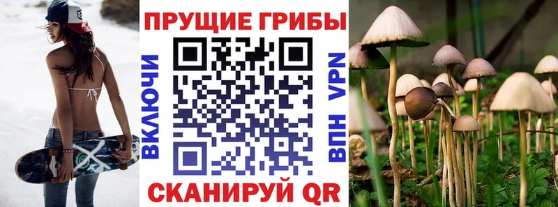 Купить  Углич  Галлюциногенные грибы мухоморы 